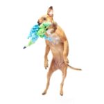 Peluche chien dragon humbert – photo 2