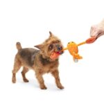 Peluche chien écrevisse – photo 3