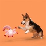 Peluche chien petit écureuil volant – photo 2