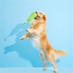 Peluche chien épi de maïs – photo 3