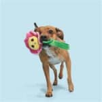 Peluche chien fleur nylon – photo 2