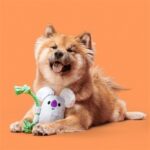 Peluche chien koala corde – photo 3