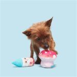 Peluche chien lutin champignon – photo 3