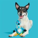 Peluche chien oie nénés – photo 2
