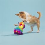 Peluche chien piñata – photo 6