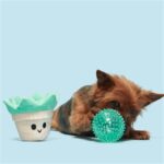 Peluche chien plante succulente – photo 2