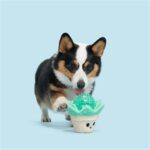 Peluche chien plante succulente – photo 3