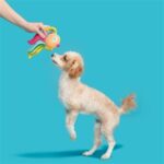 Peluche chien poisson arc-en-ciel – photo 2