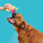 Peluche chien poisson arc-en-ciel – photo 4