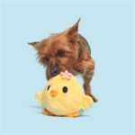 Peluche chien poussin – photo 2