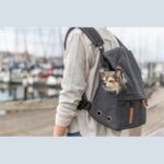 Sac a dos porte chien – photo 4