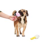 Peluche chien cupcake et donut – photo 4