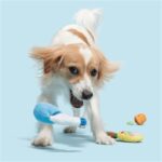 Peluche chien jardin 4 jouets – photo 2