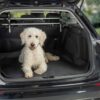 Tapis de coffre pour chien – photo 6