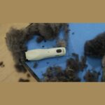 Tondeuse Wahl KMC+ pour chien – photo 4